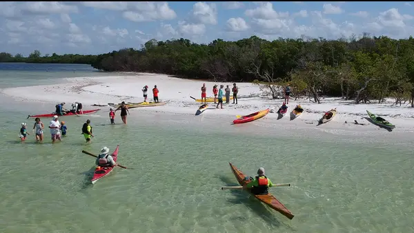 Paradise Coast Kayak Tours