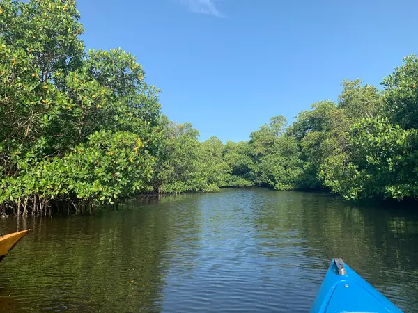 Paradise Coast Kayak Tours, photo 1