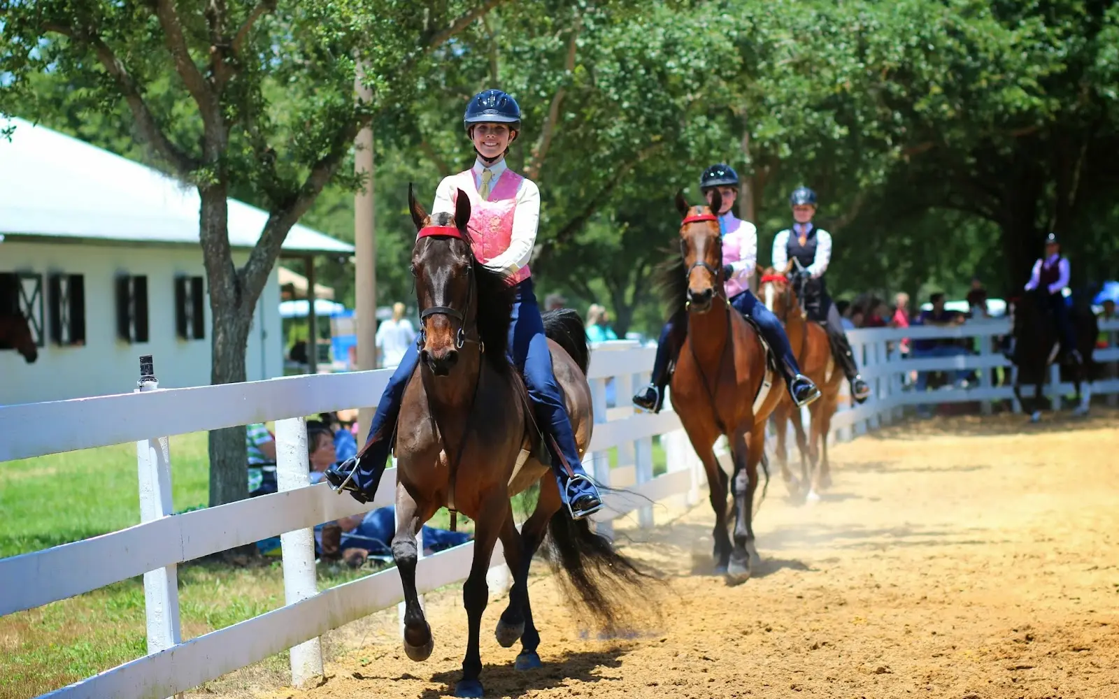 Paragon Stables