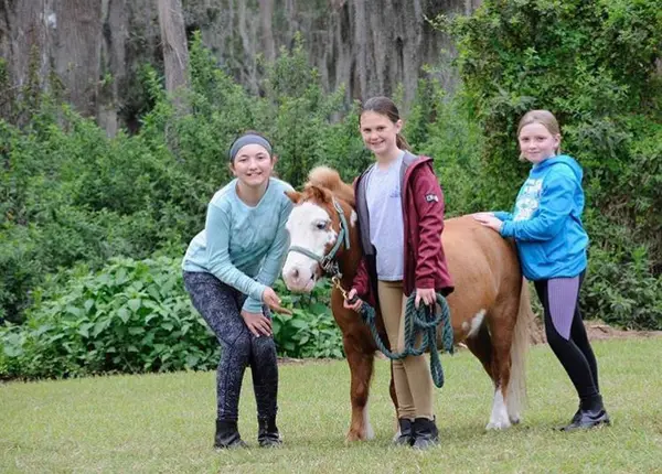 Paragon Stables, photo 1