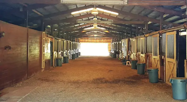 Paragon Stables, photo 2