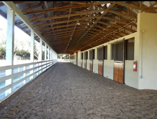 Paragon Stables, photo 3