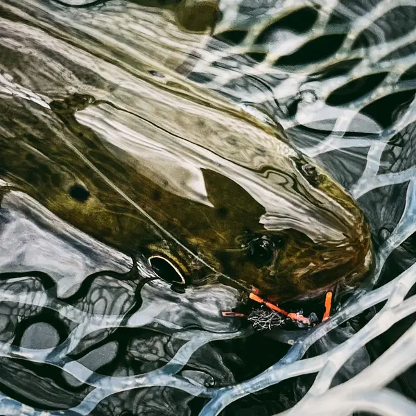Park City Fly Fishing Guides