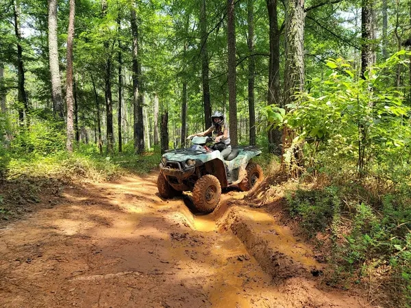 Parsons Mountain OHV Trail