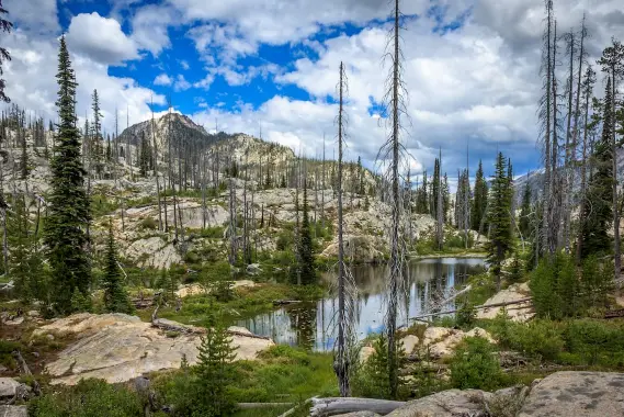 Payette National Forest OHV