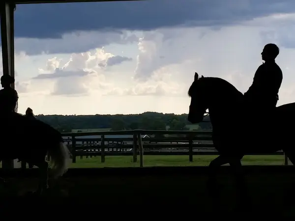 Peninsula Farm and Equestrian Center