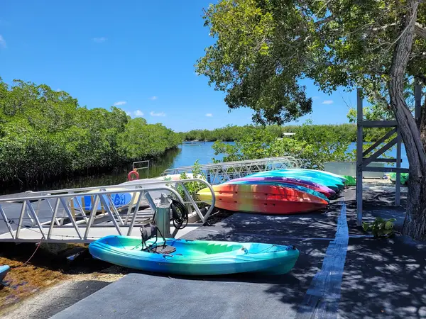 Pennekamp Canoe and Paddleboard Rentals, photo 2