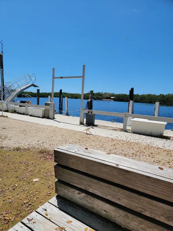 Pennekamp Canoe and Paddleboard Rentals, photo 3