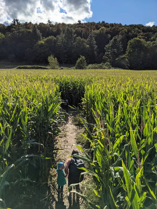 Percy Farm Corn Maze, Stowe, VT