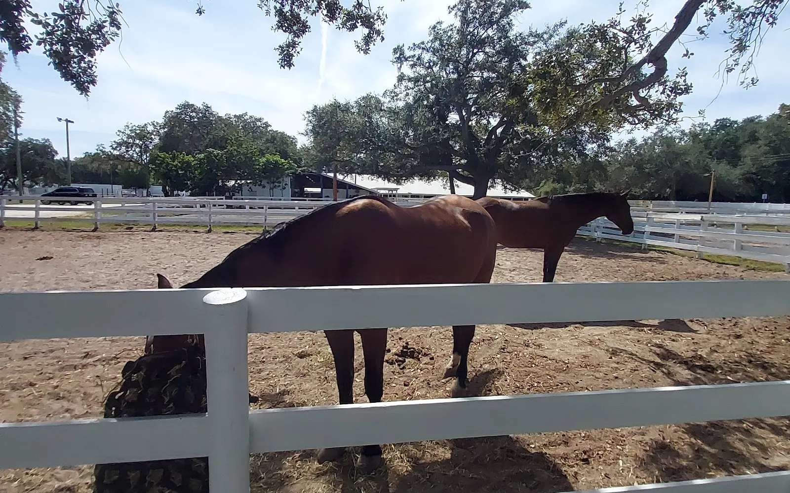 Perennial Farm