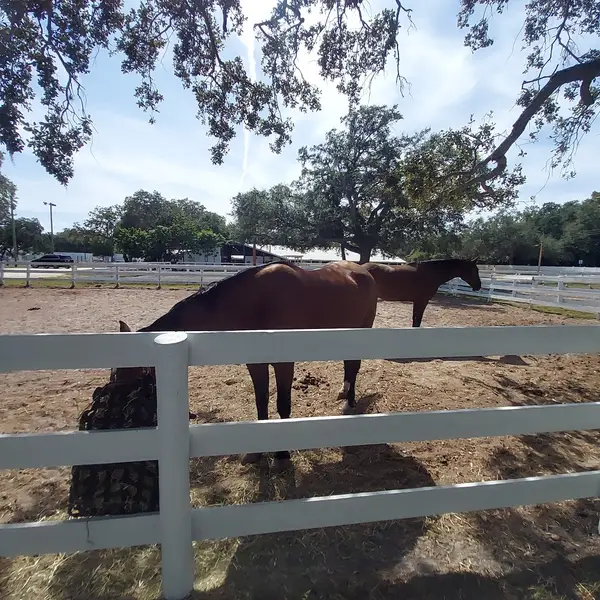 Perennial Farm