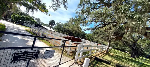 Perennial Farm, photo 2