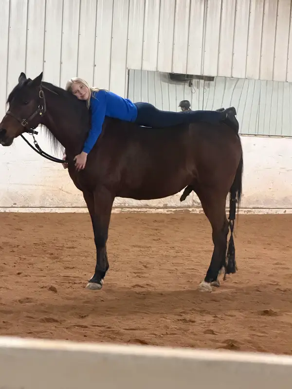 Performance Plus Arabians LLC