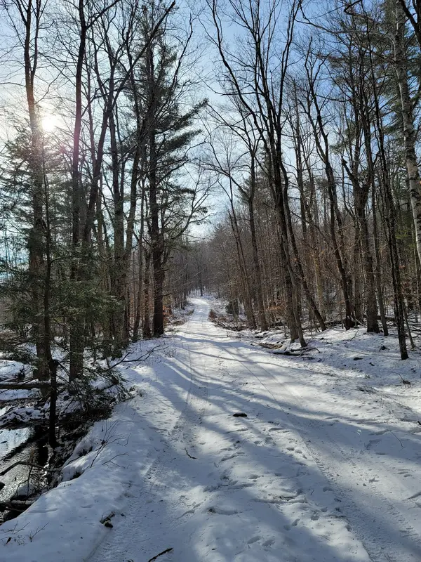 Peru State Forest OHV Trails