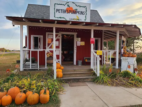 Peter's Pumpkins & Carmen's Corn, Shakopee, MN