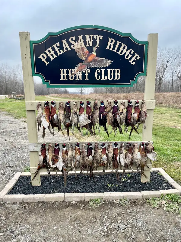 Pheasant Ridge Hunt Club