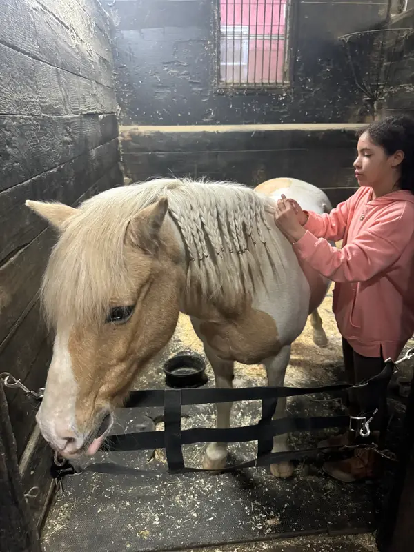Phoenix Rising Equistrian Center