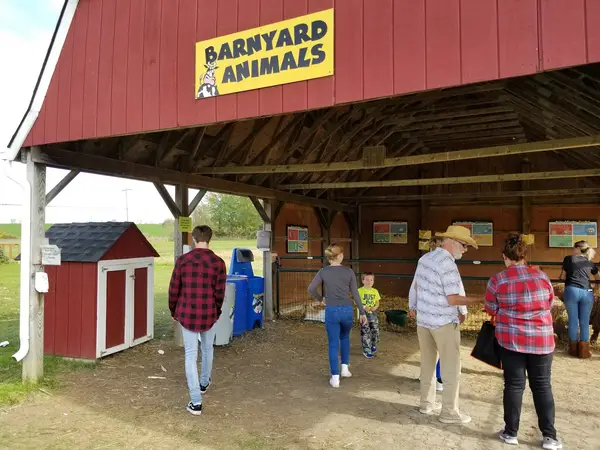 Pick'n Patch & Corn Maze, Stanley, NY