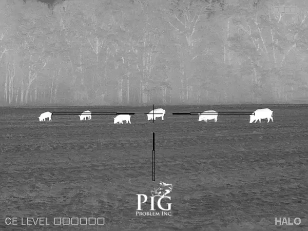 PIG PROBLEM INC. - Hog Hunting