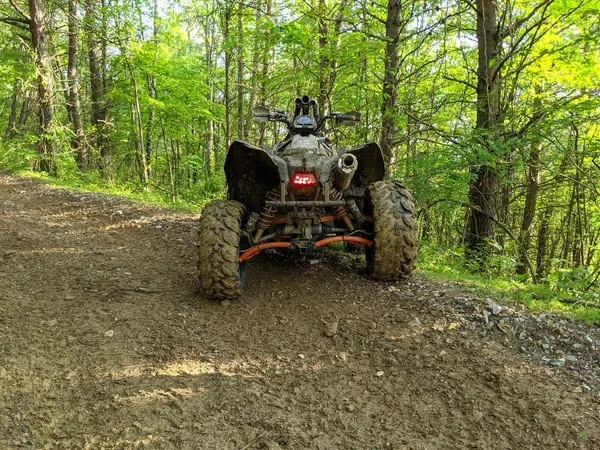 Pine Creek OHV System