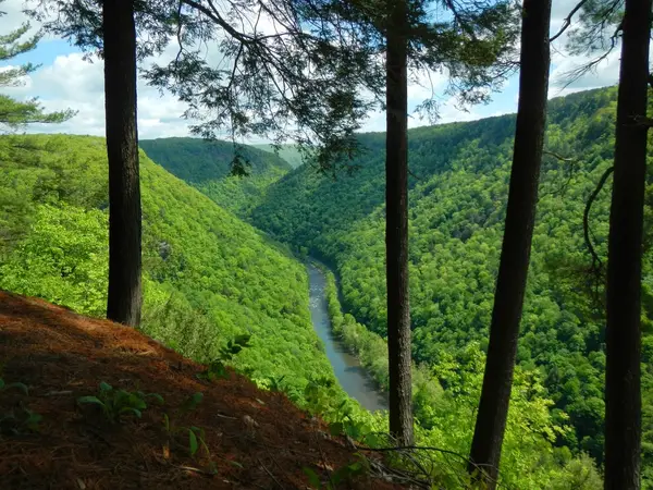 PINE CREEK OUTFITTERS, Wellsboro, PA