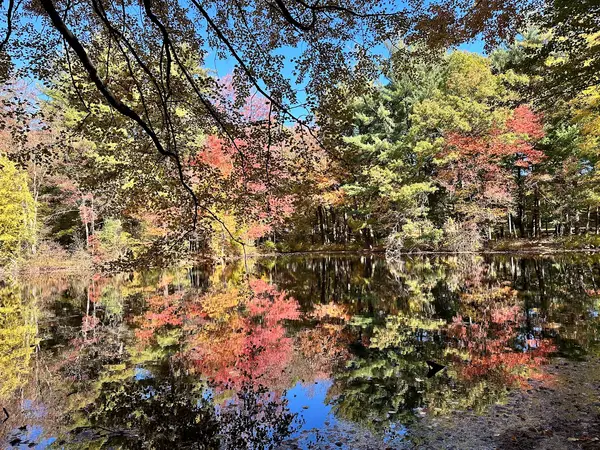 Pine Lake Adventure Park