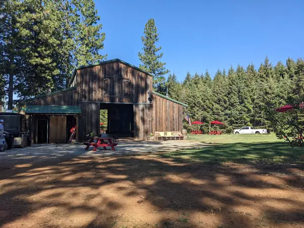 Pine-O-Mine Ranch, Placerville, CA