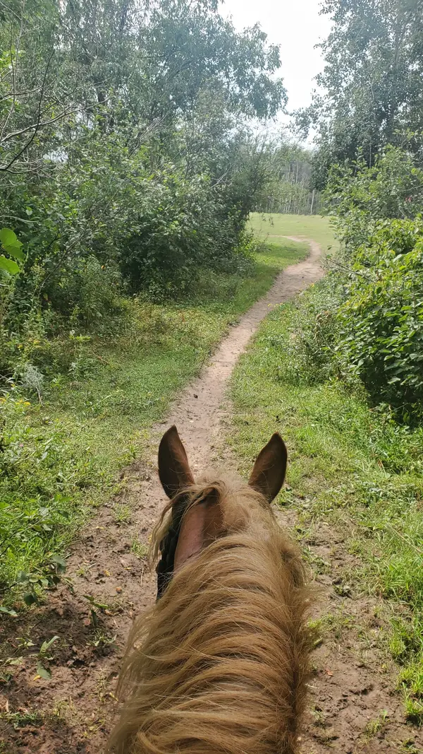 Pine River Riding Stable