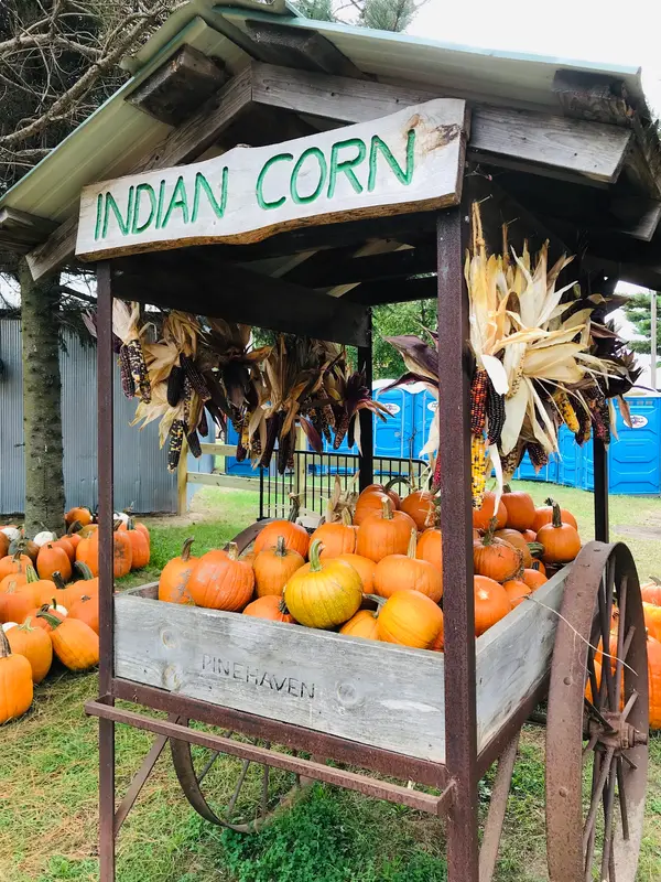 Pinehaven Farm, Wyoming, MN