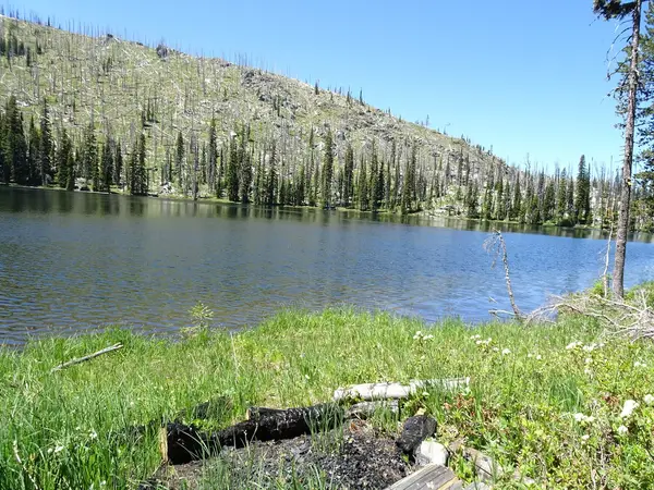 Pinpoint Outfitters LLC