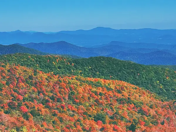 Pisgah National Forest OHV