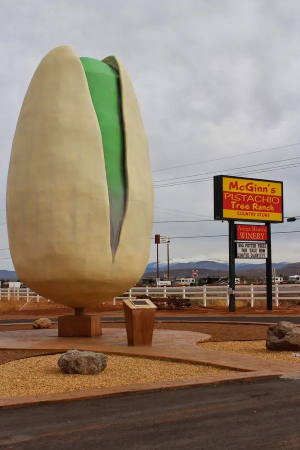PistachioLand Farm Tours, Alamogordo, NM