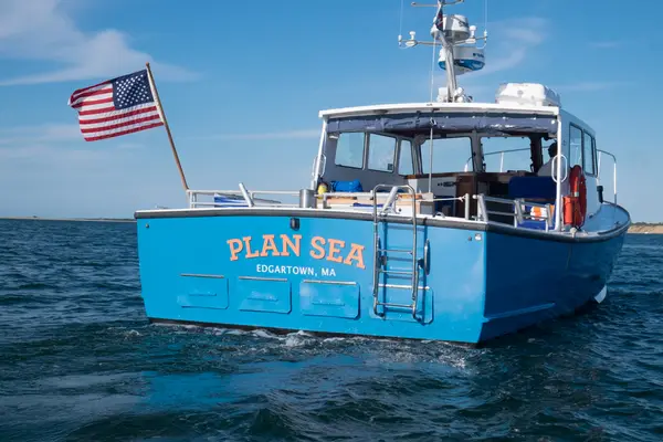 Plan Sea Adventure Charters
