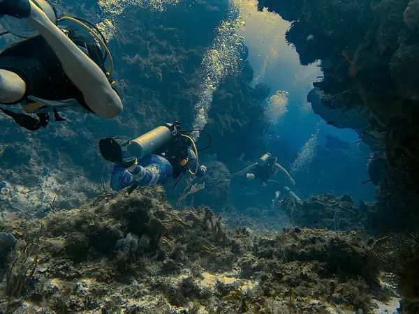 Planet Scuba