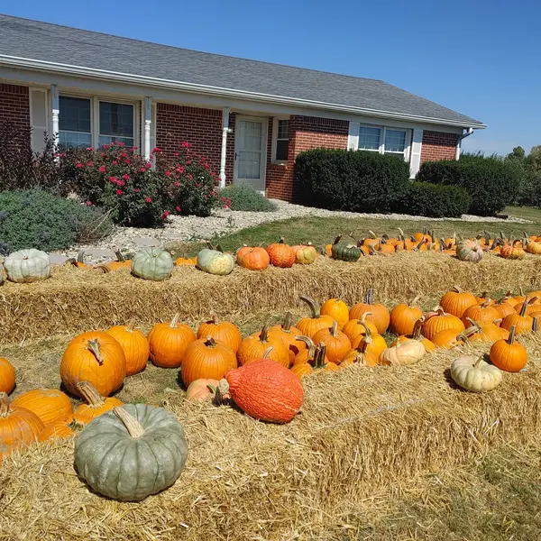 Pleasant View Orchard, Fairland, IN