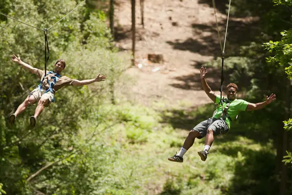 Pocono Zip Racer, East Stroudsburg, PA
