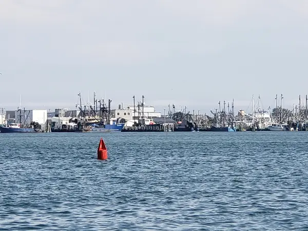 Point Judith Marina LLC