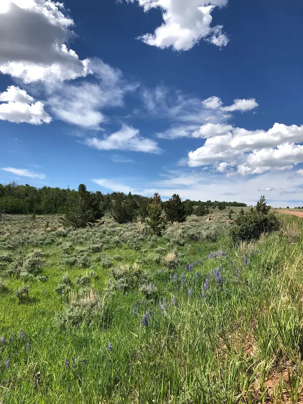 Pole Mountain ORV Area