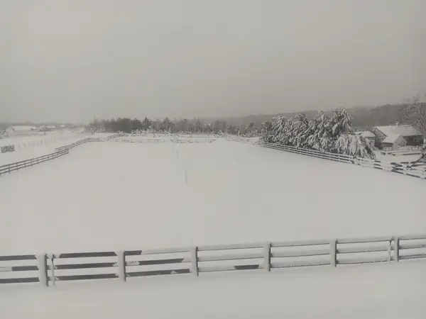Pond View Farm, photo 2