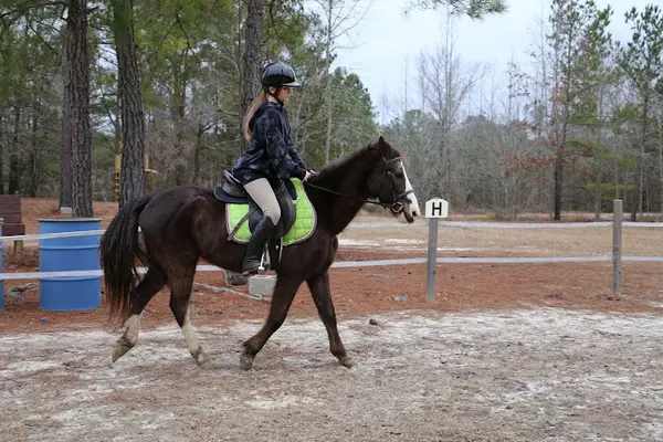 Pony Gang Riding Academy