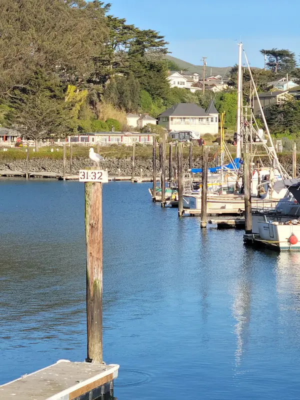 Porto Bodega Marina and RV Park