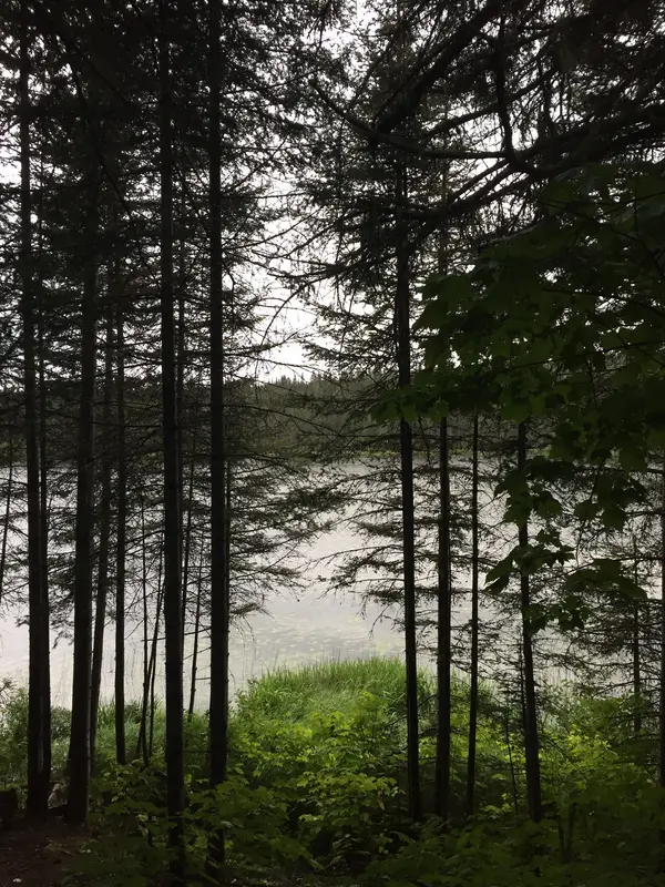 Pourvoirie de la Gaspésie, photo 2
