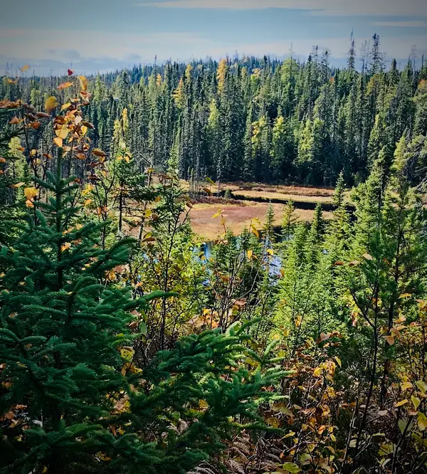 Pourvoirie du Lac Lareau, photo 2