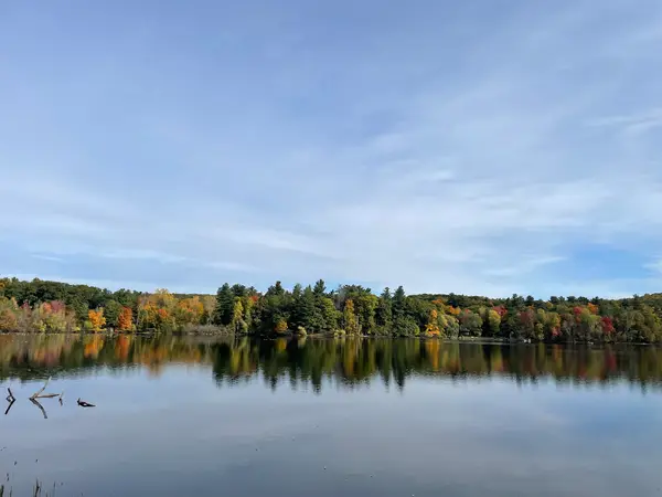 Pourvoirie Lac Dumoulin, photo 1