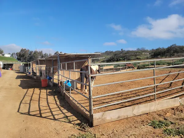 Poway Equestrian Center, photo 2