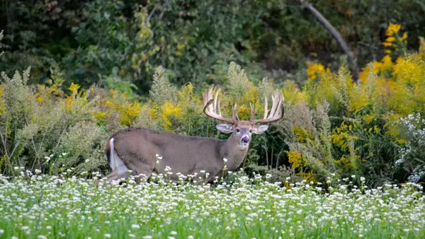 Powder Ridge Outfitters