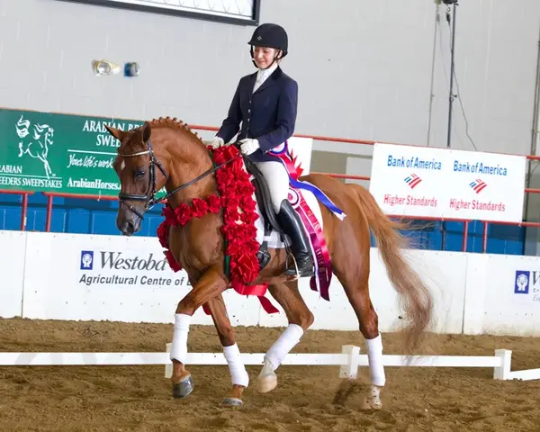 Prairie Rose Training Center Dressage
