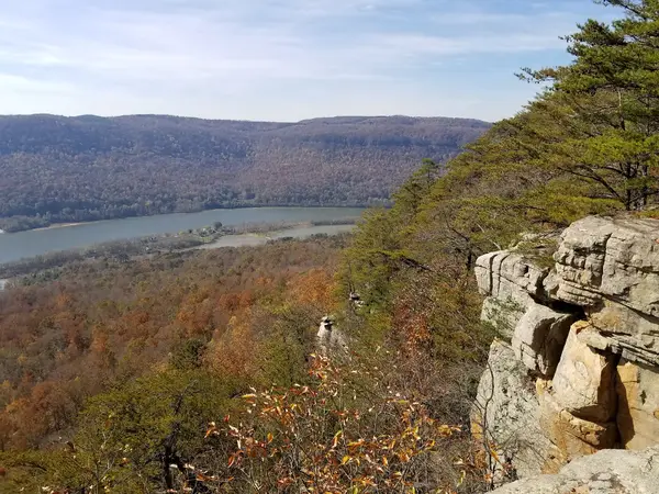 Prentice Cooper State Forest
