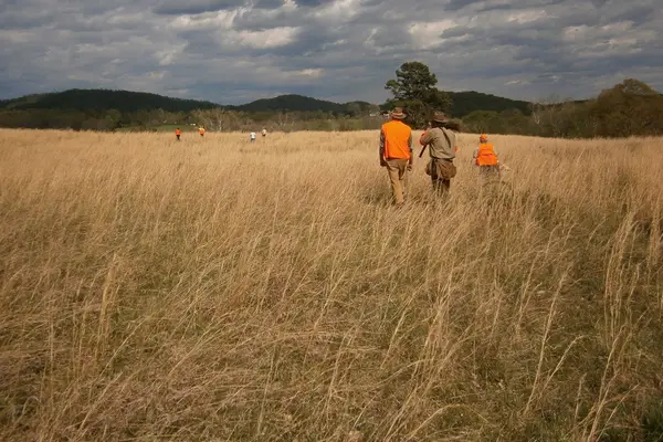 PriestView Hunting Preserve