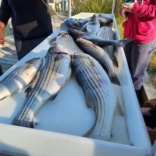 Prime Time Charters, Stevensville, MD